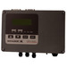 Datalogic DP-1100 Decoder Datalogic DP-1100