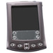 Palm m505